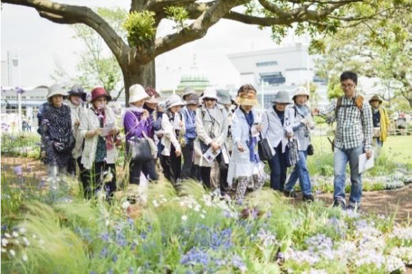 定番人気イベントの「草花散歩」