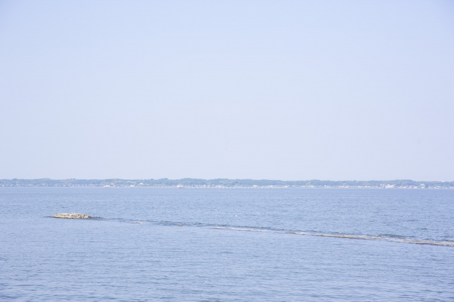 店舗からは霞ヶ浦の景色も絶景