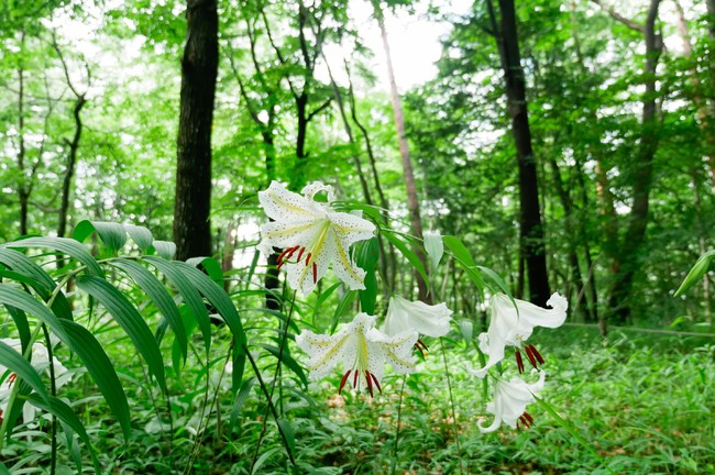 2021年7月7日（水）撮影