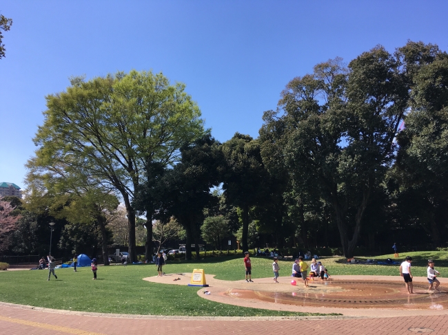 噴水池と芝生広場