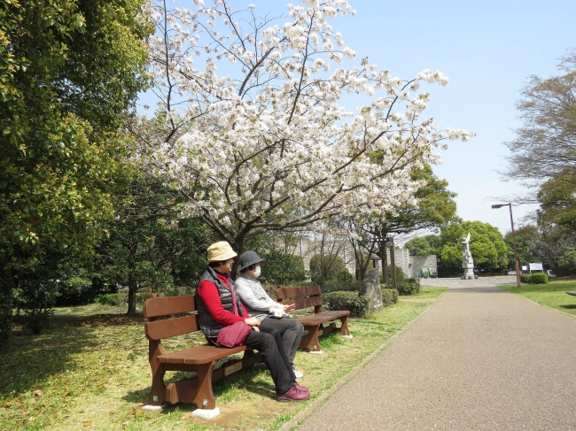 春の谷津干潟公園