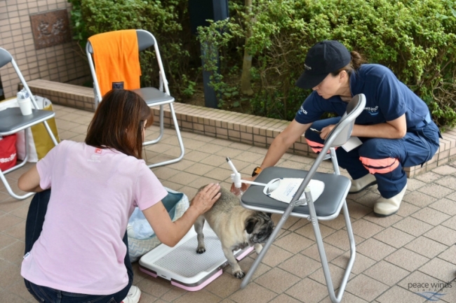 ペット同行者へのヒヤリング