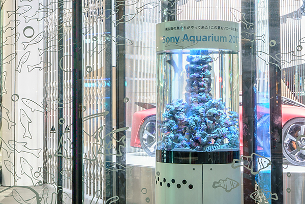 ※過去のSony Aquarium