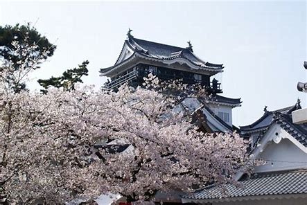 岡崎城と桜