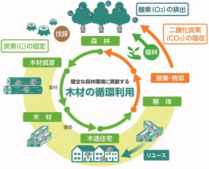 木材の循環利用について