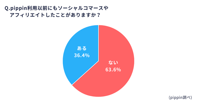 pippin副業ネットショップオーナー調査_経験