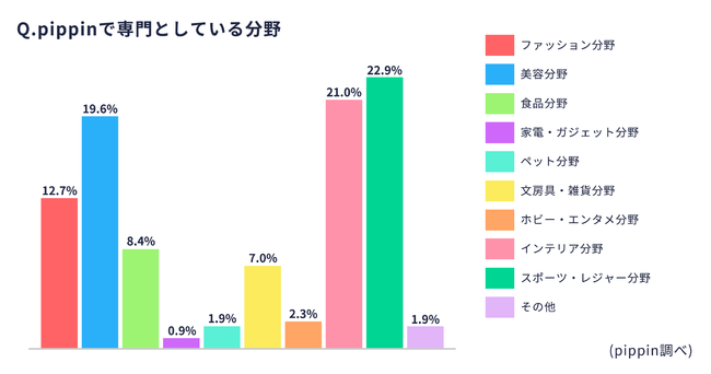 pippin副業ネットショップオーナー調査_専門