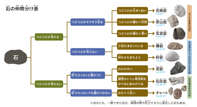 『石はなにからできている？』石の仲間分け表