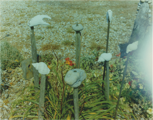 Derek Jarmans Prospect Cottage Dungeness 1992