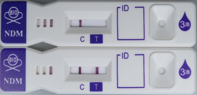 テストデバイス（上・陰性例、下・陽性例）