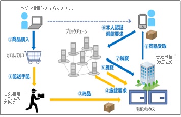 今回の実験