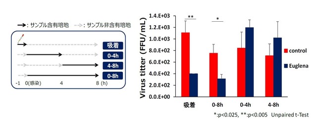 図２：各増殖段階におけるインフルエンザウイルスの増殖抑制効果