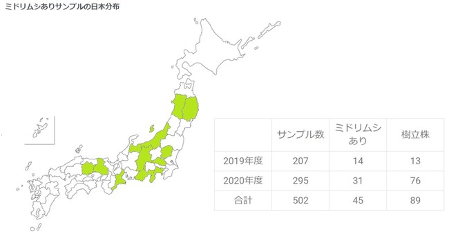 2019年度と2020年度の成果（右表）ミドリムシが確認されたエリア（左図）