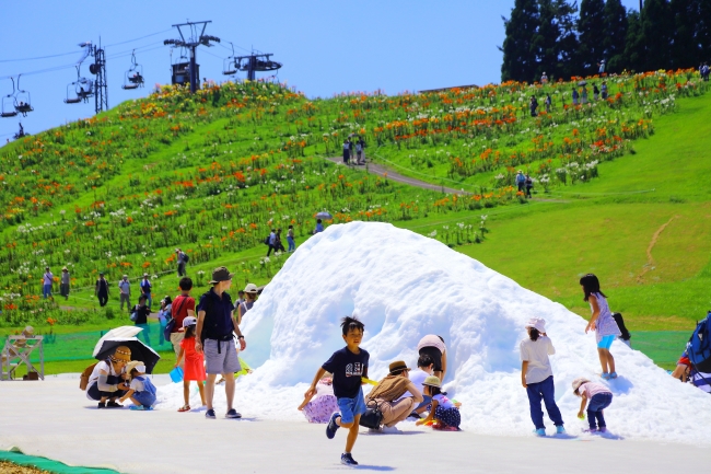 夏でも雪遊び！？