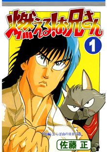 『燃える！お兄さん』 全19巻 佐藤 正 （著）