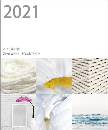 2021年の色ゼロホワイトとイメージ