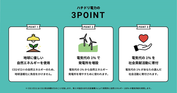 ハチドリ電力の3POINT