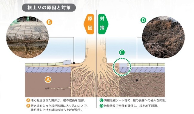 根上がり防止 構造図