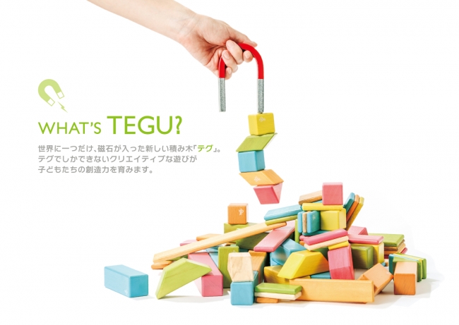 磁石の入った、世界初の積み木「tegu(テグ）」