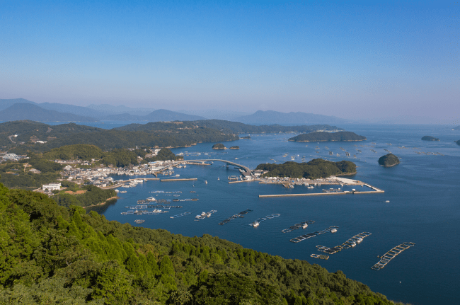 海流の干満差、潮流れの影響、気候、水温等のバランスがブリの養殖に最適な長島町。