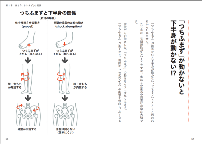 つちふまずの動きは下半身の動きにも影響する