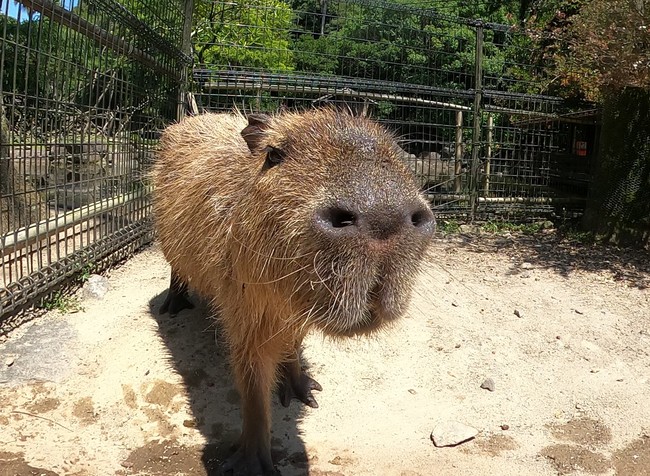 長崎バイオパーク「コナ」