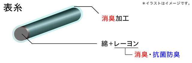 表糸イメージ