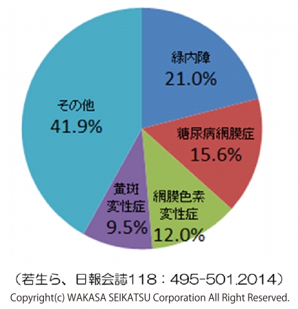 （図4）中途失明原因の割合