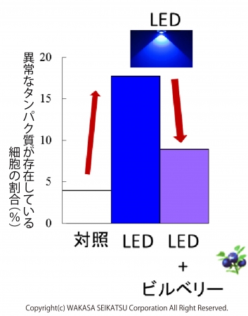 （図3）ブルーライトダメージに対するビルベリーの保護作用