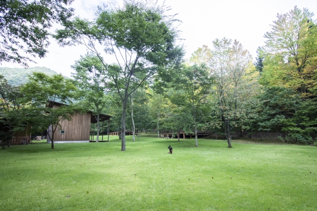 RITAS RANCH PICNIC GARDEN