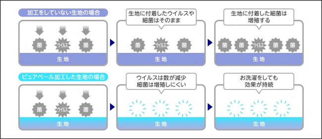 抗菌・抗ウイルス効果のしくみ