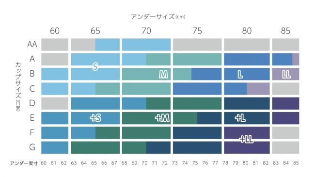 サイズ表