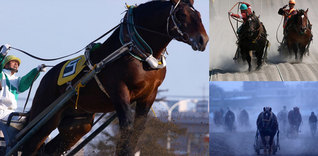 「ばんえい競馬」画面キャプチャ