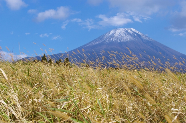 「富士山高原トラスト」