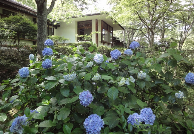 庭園「華清園」イメージ