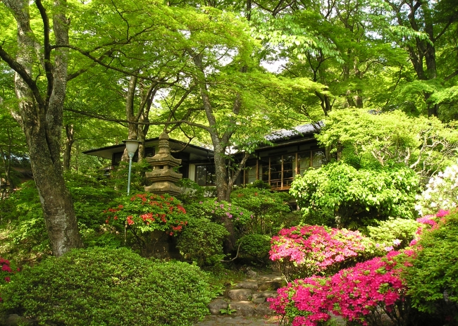 つつじ咲く庭園「華清園」