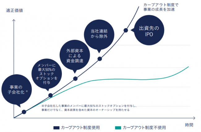 《カーブアウトオプション制度　使用イメージ》