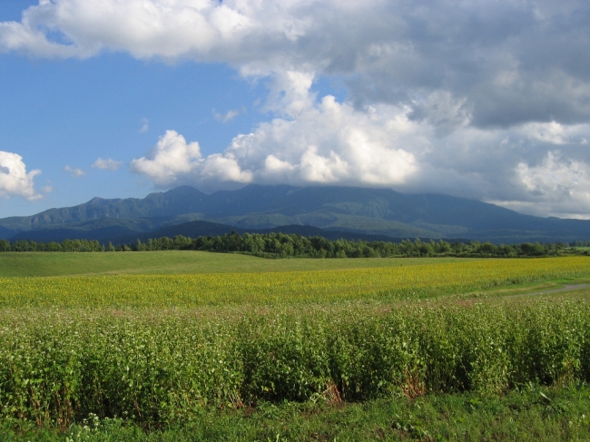 北海道