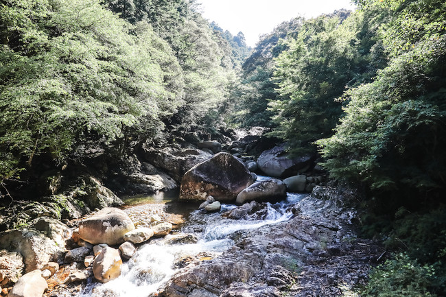 滑床渓谷の景色