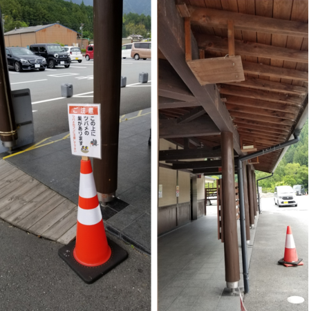 道の駅　飯高駅（三重県）での ツバメ見守りのようす