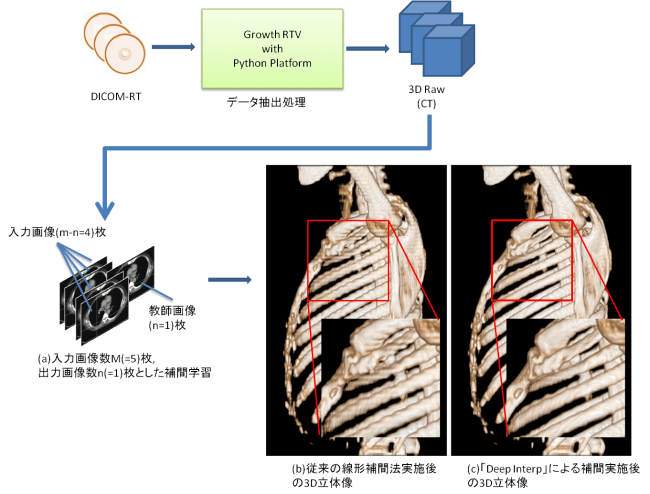 Deep Interp技術