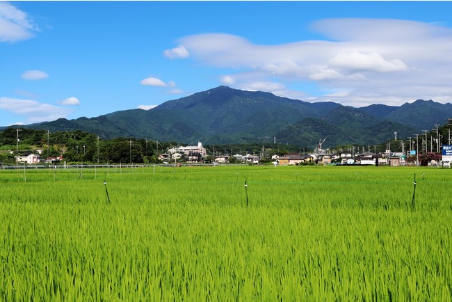 阿夫利山（大山）