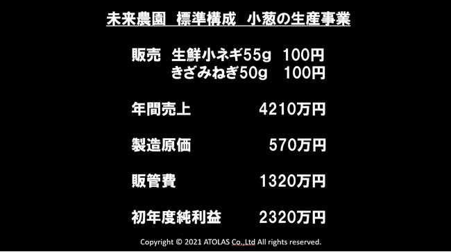 小葱生産事業計画