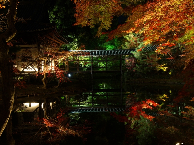 写真提供：高台寺