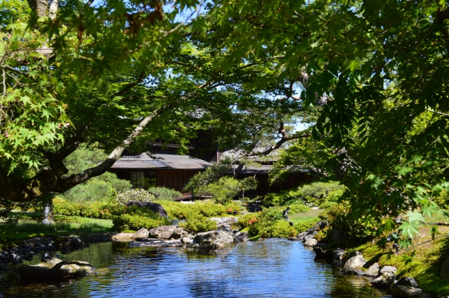 写真提供：對龍山荘