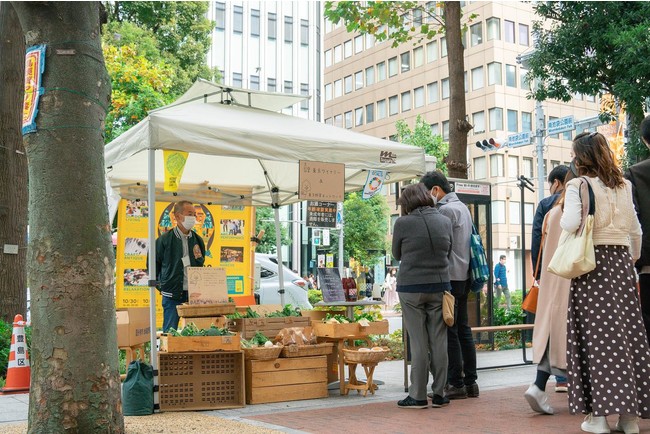 マルシェではその地域で生産された水産物も並ぶ