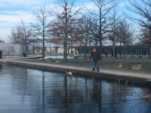 ベルリン ティアハイムは犬の散歩コースとしても親しまれている