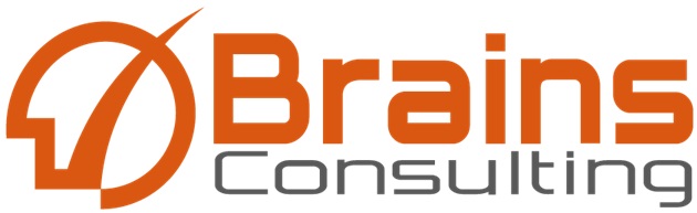 © Brains Consulting, Inc.