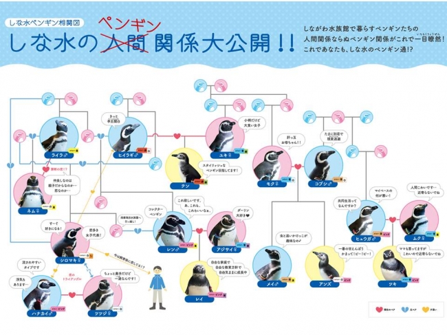 ペンギン相関図