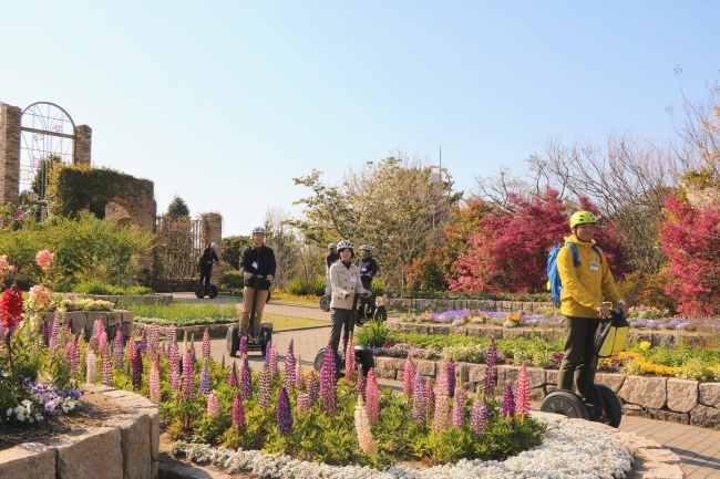 1年を通して花々を楽しむことが出来るフラワーミュージアム